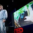 Willie Smits: Como recuperar uma floresta tropical | TED Talk