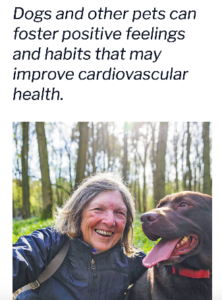Dogs and other pets can foster positive feelings and habits that may improve cardiovascular health.